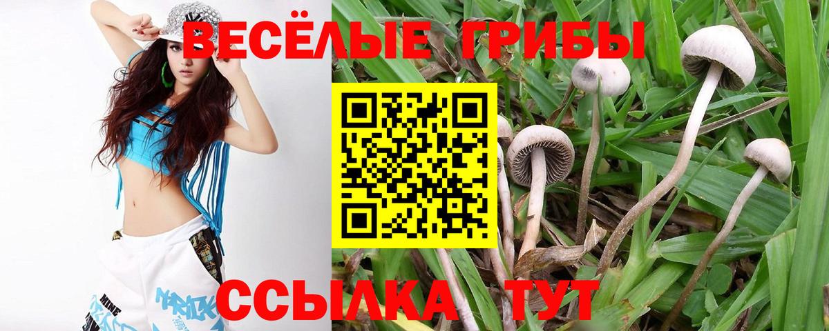 Марихуана  Героин  КОКАИН  А ПВП СК кристаллы  Вход с VPN  МЕФ   Туапсе  Гашиш  ЭКСТАЗИ 