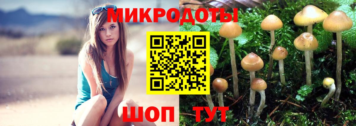 Туапсе  Галлюциногенные грибы Psilocybe  Галлюциногенные грибы GOLDEN TEACHER  что такое наркотик  Вход с VPN 